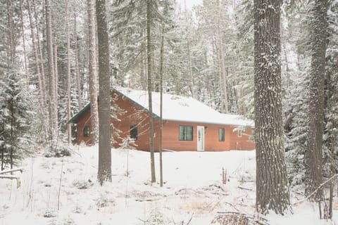 Welcome to Boreal Retreat! If you're in need of some forest bathing, this is the place!