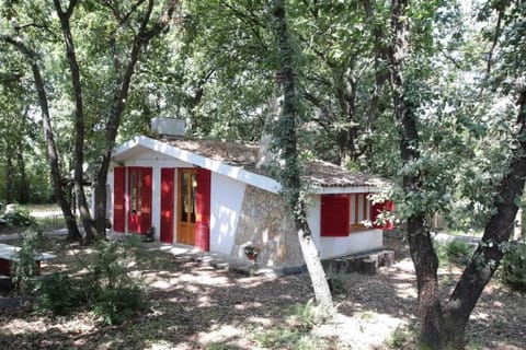Front view