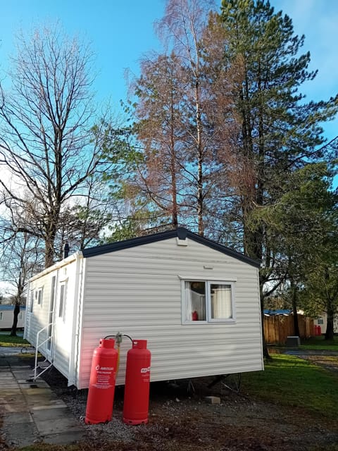 Cozy cabin retreat surrounded by towering pine trees