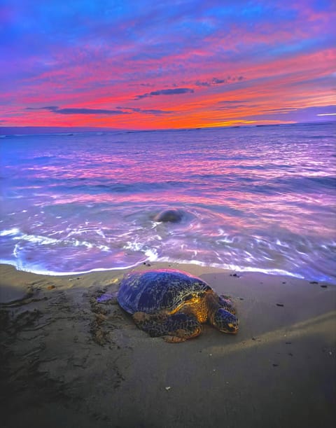 Serene beach sunset with gentle waves and vibrant skies