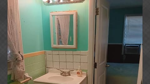 Bathroom vanity with mirror and bedroom access