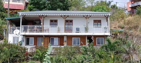 Front view