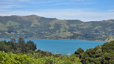 View from the house and deck.