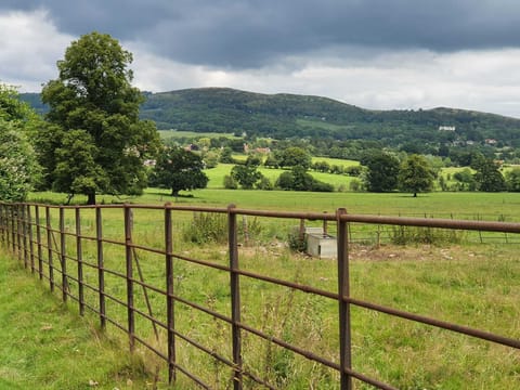 The view from the Pleasure Garden