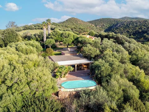 Tree, Swimming Pool, Resort, Estate, Eco Hotel, Hacienda, Landscaping, Farmhouse, Villa