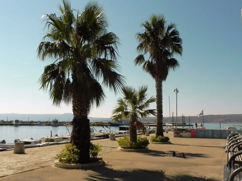 Marina