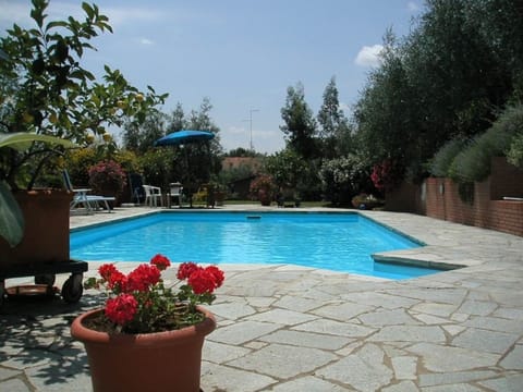 Pool Outdoor