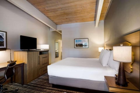 3. Spacious Queen Room