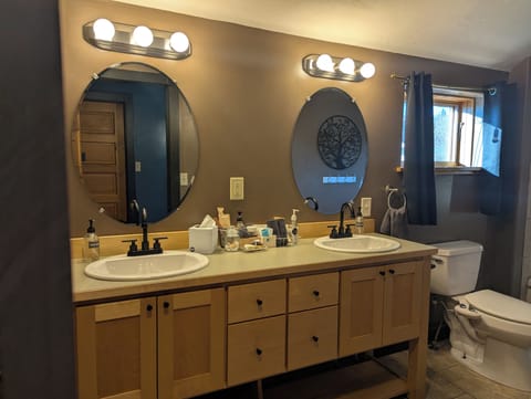 Nighthawk at Feather Nest Inn Hotel in Grand Marais