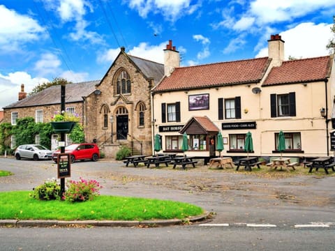 Wood, Room, Wood Stain, Chair