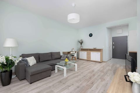 Bright modern living room with sofa, coffee table and open kitchen area.