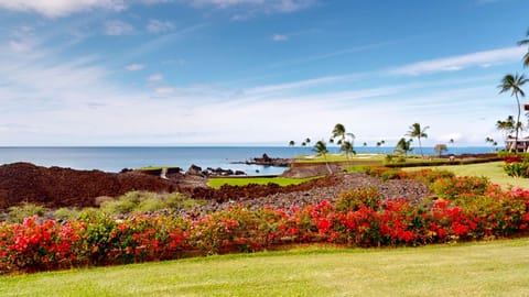 Welcome to Deep Blue Sea at Mauna Lani Point