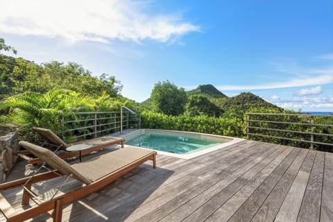Nice pool, expansive terrace with loungers and deck chairs. Lounge area facing the view. Outdoor shower. 