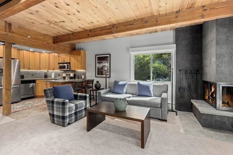 Asppn Condo Kitchen fireplace