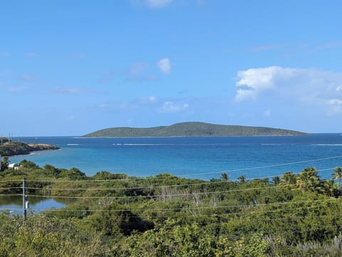 Buck Island View