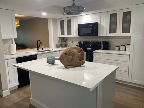 Fully renovated kitchen