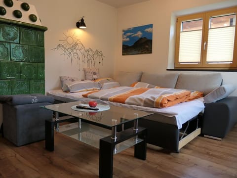 Apartment number 12 - apartment/flat, shower, WC, 1 bedroom Apartment in Salzburgerland