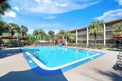Dive into sunshine and unwind beside the sparkling palm-lined pool.