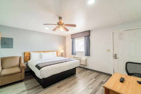 Kick back on a plush bed in a bright, airy room.