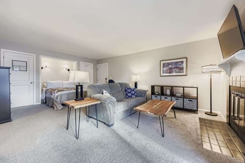 Comfortable studio with a murphy bed, bedside lamps, and open view of the living area