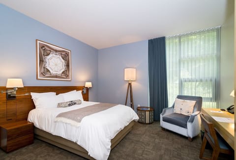 Settle into a bright room with lounge chair and views.