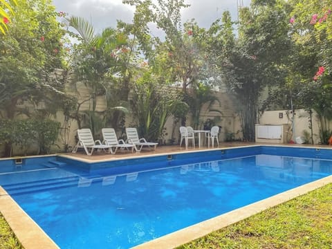 Shared communal pool with sun loungers