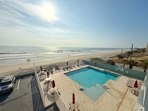 Amazing Pool facing the Ocean with direct access to the beach!
