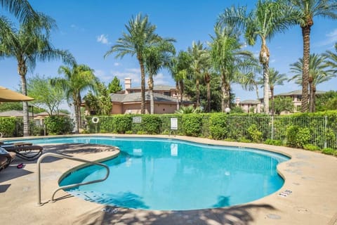 Dive into sunlit relaxation beside a sparkling palm-lined pool.