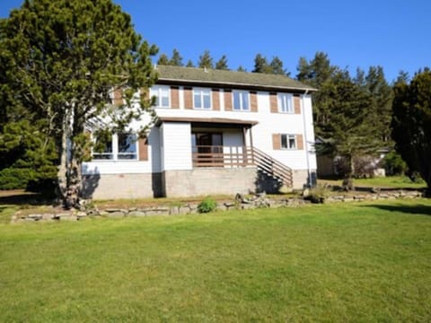 Blue, Tree, Grass, Green, Shrub, Landscape, Land Lot, Groundcover, Garden, Lawn