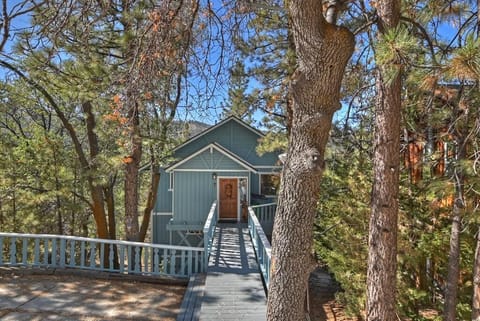 Charming Cabin Surrounded by Trees