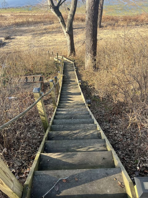 Steps down to the beach