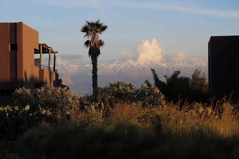 View of the Atlas Mountains from resort gardens.