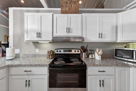 Indoors, Kitchen, Sink, Sink Faucet, Appliance