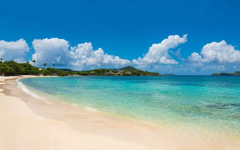 These crystal clear waters are only a 2 minute walk from the back pation of the condo.