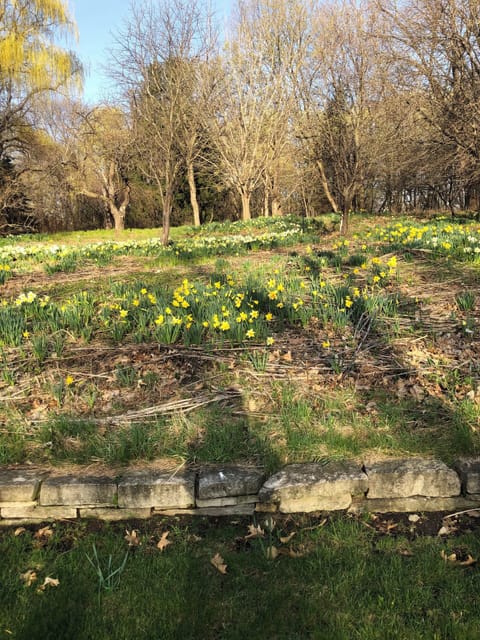 Some of the green space surrounding the property - you are welcome to enjoy all