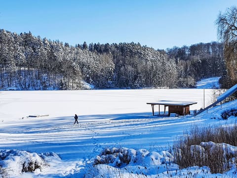Snow, Blue, Winter, Tree, Freezing, Ice, Frost, Slope, Ice Cap, Glacial Landform