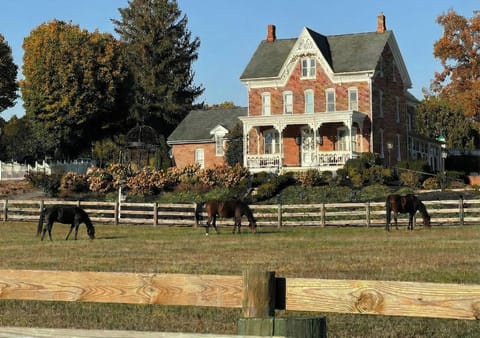 Welcome to The Victorian View