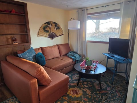 Sunny living room with super comfy queen sofa bed and smart TV.