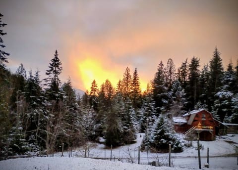 The cabin is tucked away in the mountains, but off a easily accessible road.