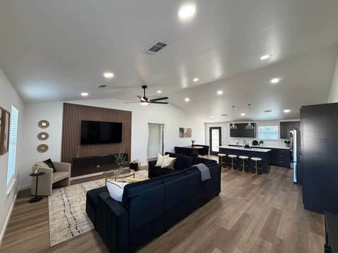 Living Room and Kitchen Wide Shot