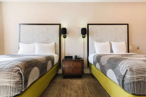 2.Deluxe Accessible Double