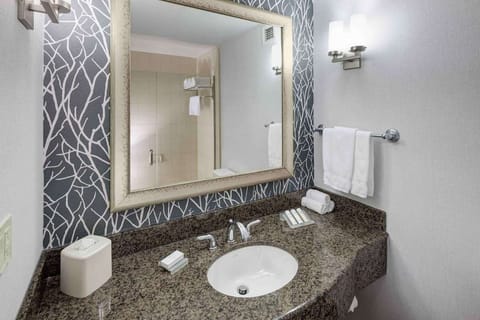 Bathroom vanity with large mirror and granite counter