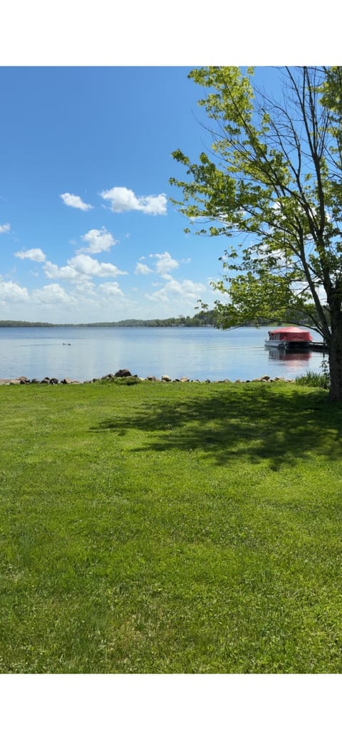 View from the deck