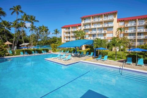 Dive into sparkling resort waters under swaying tropical palms.