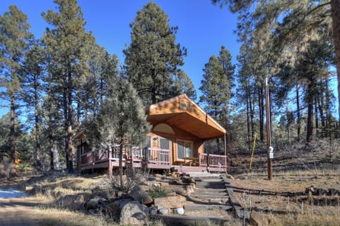 Forest Lake Cabin in the Colorado mountains – your year-round retreat offering privacy, comfort, and the perfect balance of seclusion and accessibility.
