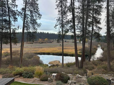 Little Spokane in the fall