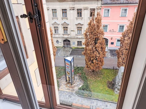 Apartment, Glass, Molding, Daylighting