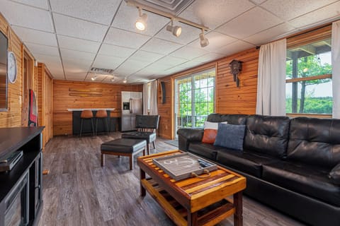 Lower level living room and bar area