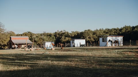 Horse Paddocks - Outdoor Area