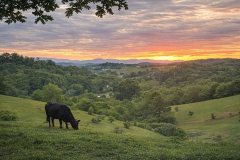 Imagine saying enjoying a beverage as the hills glow and the sky turns gold ✨ Private farmland. Blue Ridge views.
Summit House — now booking select pre-launch stays.